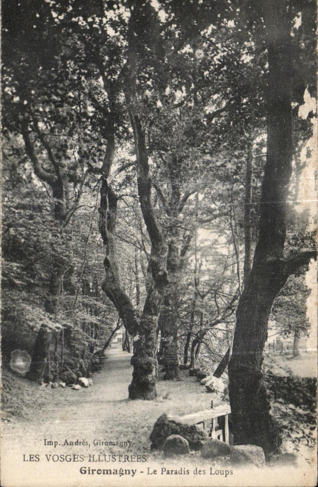 CPA the Illustrated Vosges Giromagny Le Paradise of the Wolves