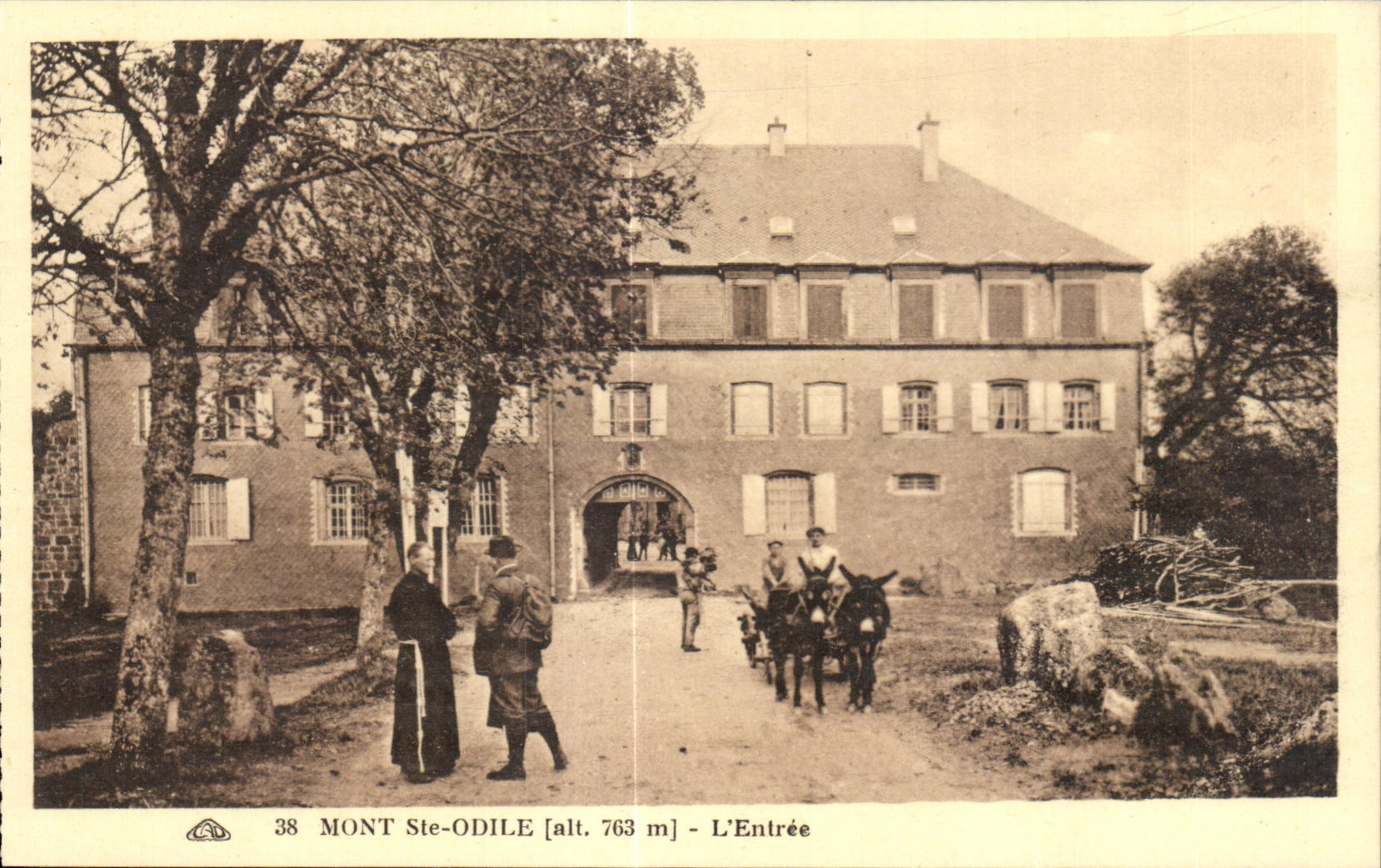 Montaje co de CPA Burro del asno de la entrada de Odile