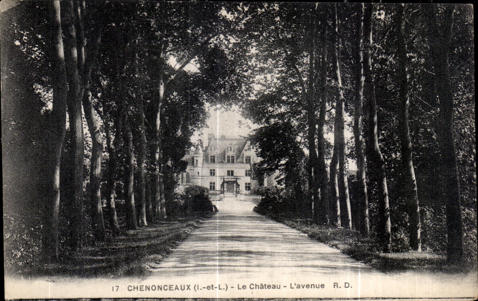 Avenida del castillo de CPA Chenonceaux Le Chateau Le