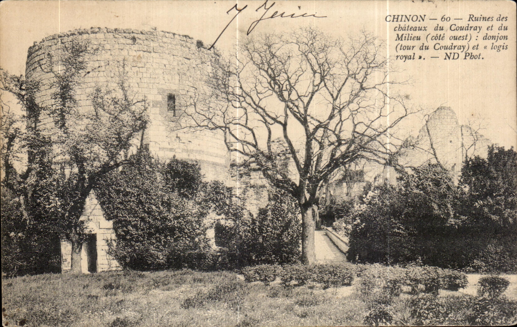 CPA Chinon Ruins of the Castles of Coudray and the Keep Medium and Home