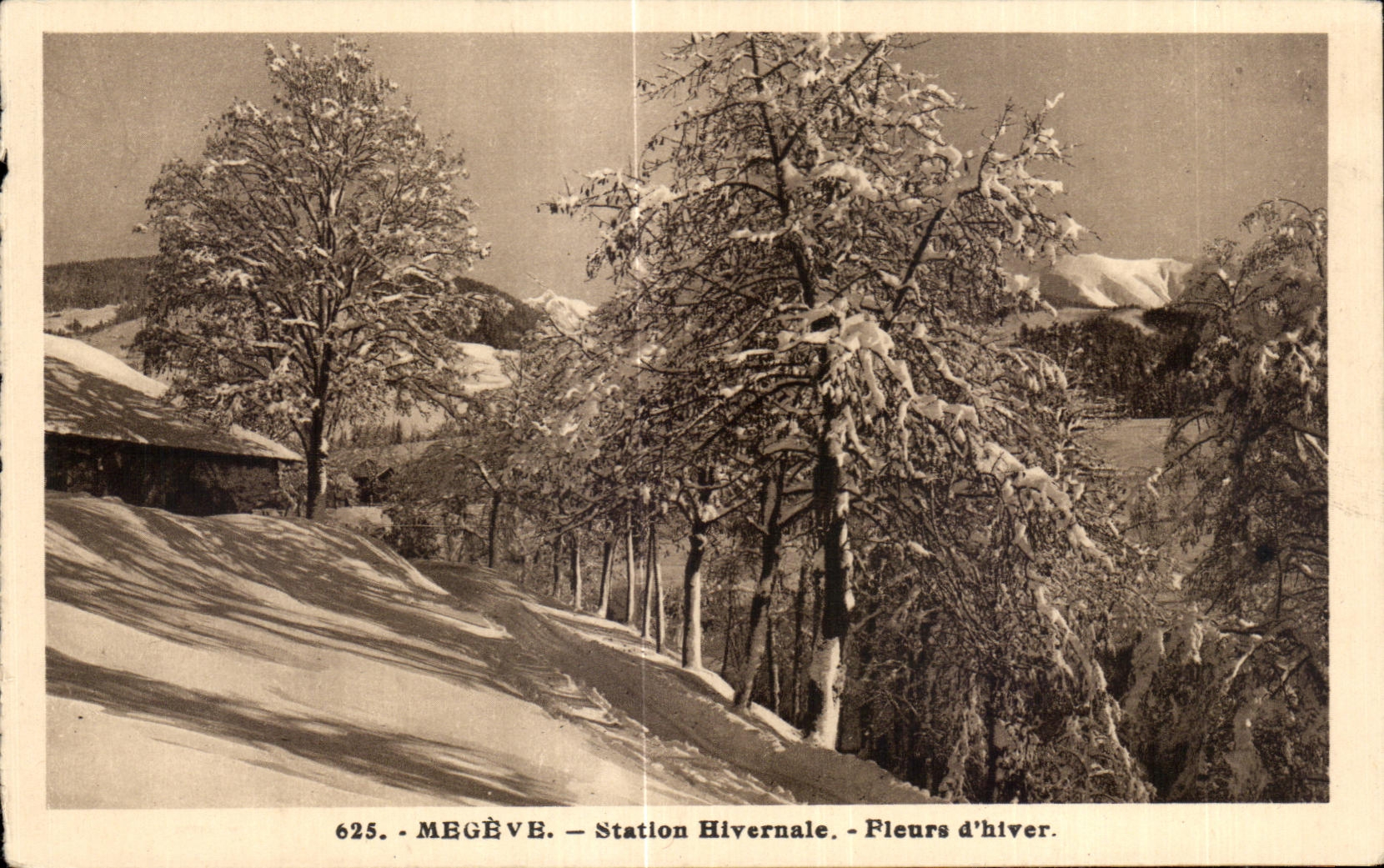 CPA Megeve Winter Station Flowers Winter