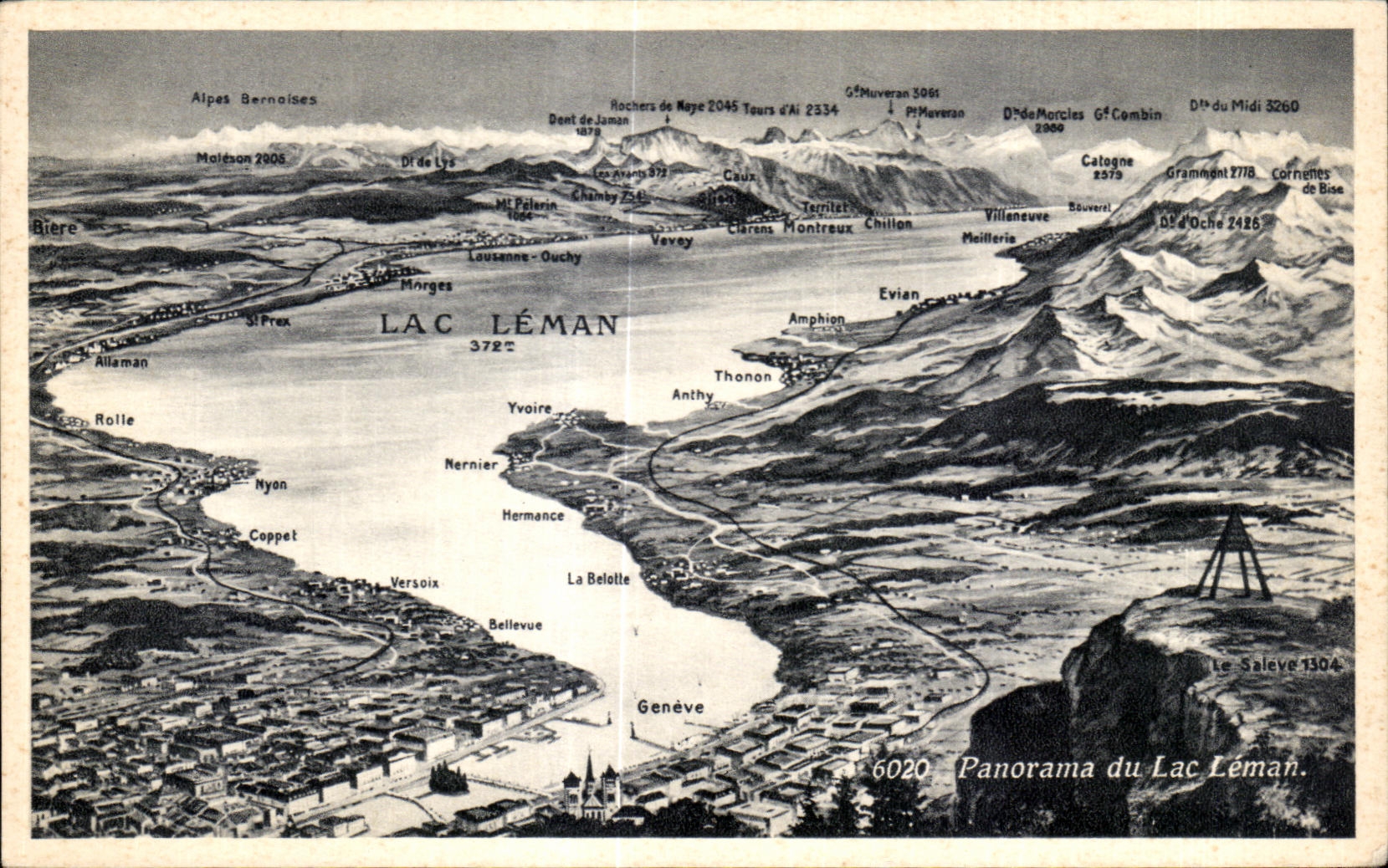 CPA Panorama Du Lac Leman