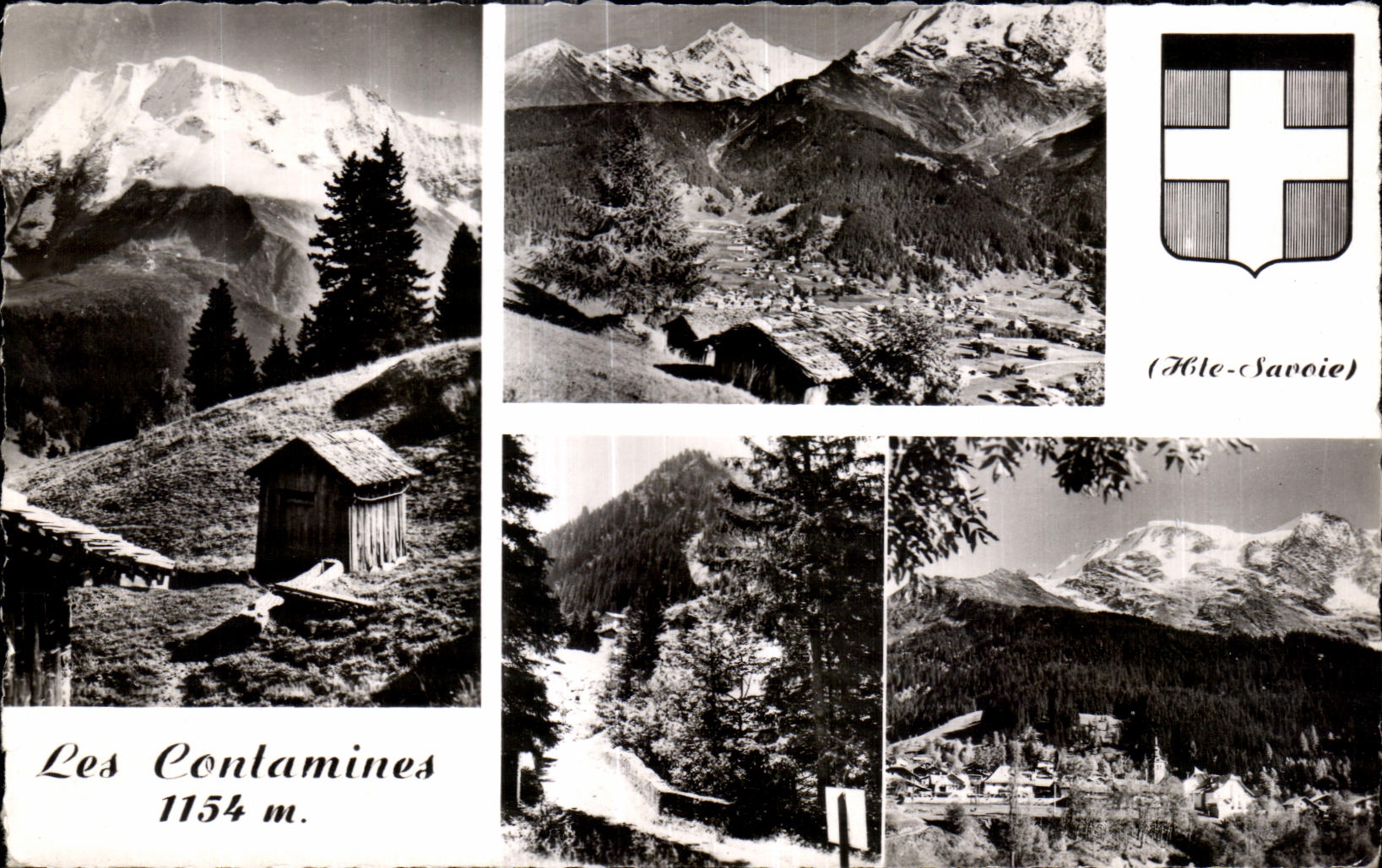 CPA Contaminate Them