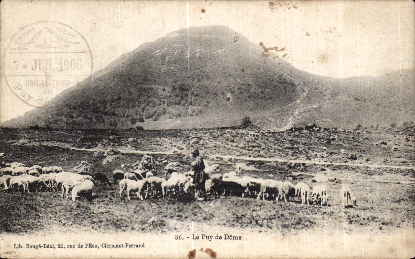CPA Le Puy De Dome Moutons Sheep Berger