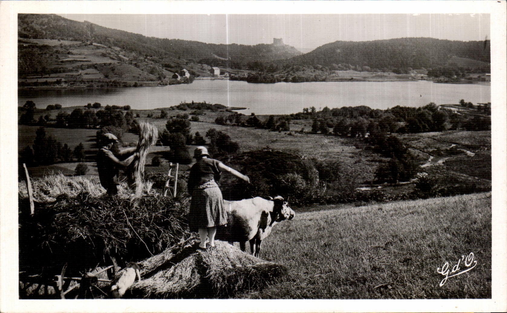 CPA Auvergne the Lake Chambon Cows Peasant