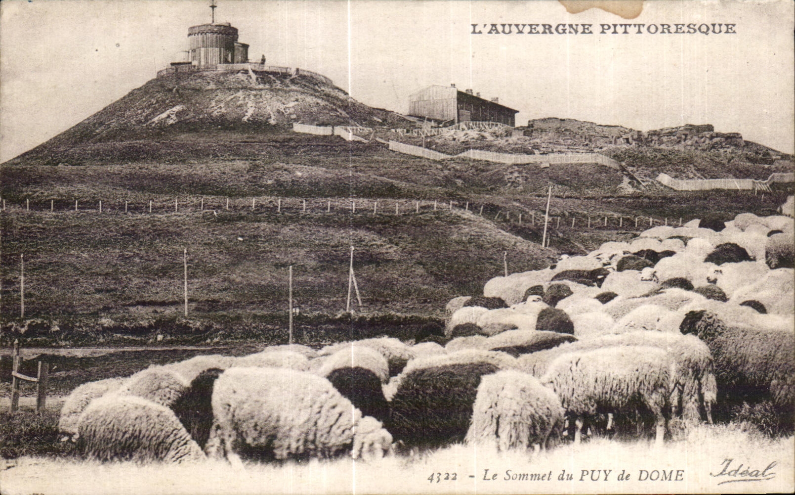 CPA the Summit of Puy de Dome Sheep Sheep