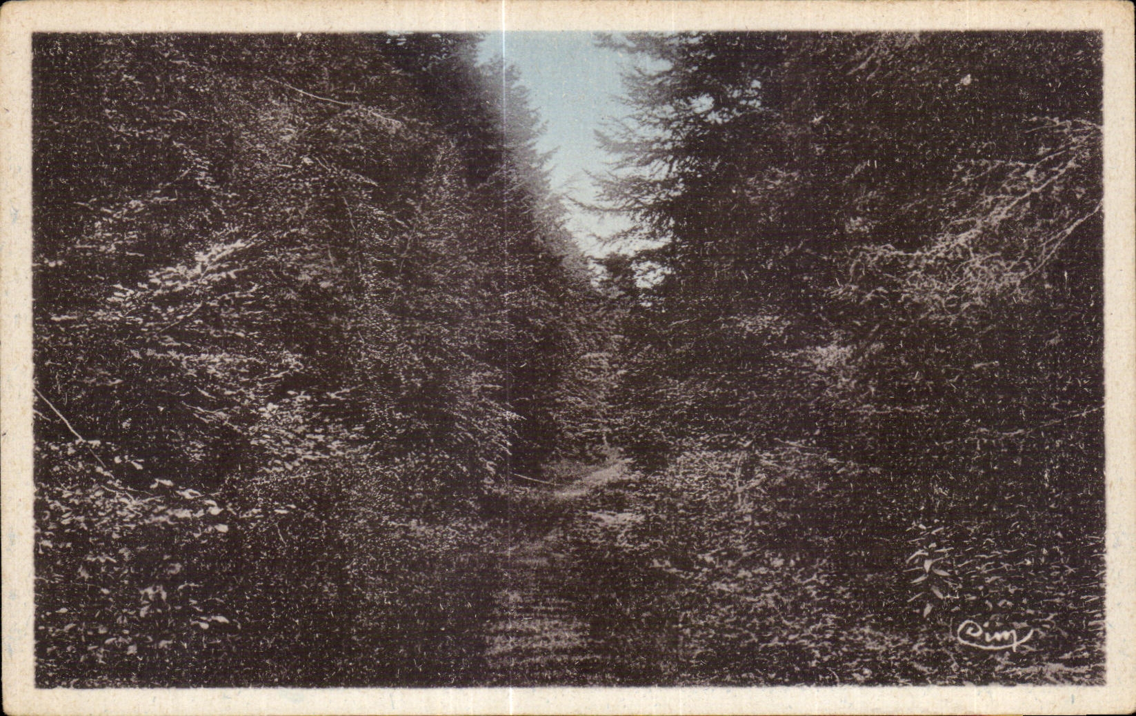 CPA Saint Germain Herm Aspect of the forest