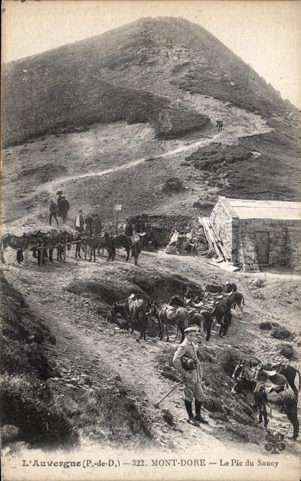 CPA L Auvergne Mont Dore Le Pic du Sancy Ane Donkey