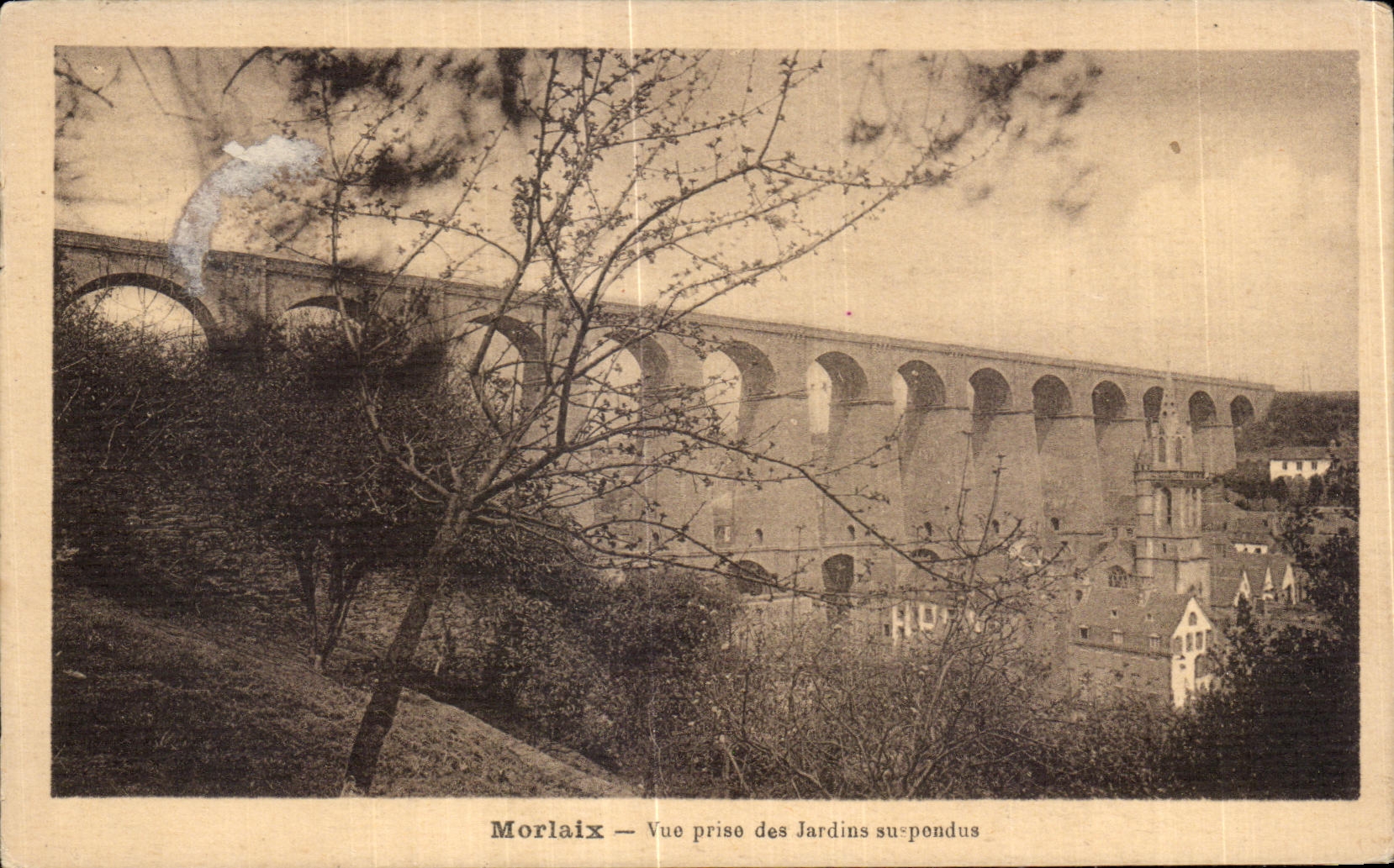 CPA Morlaix Vue prise des Jardins suspendus