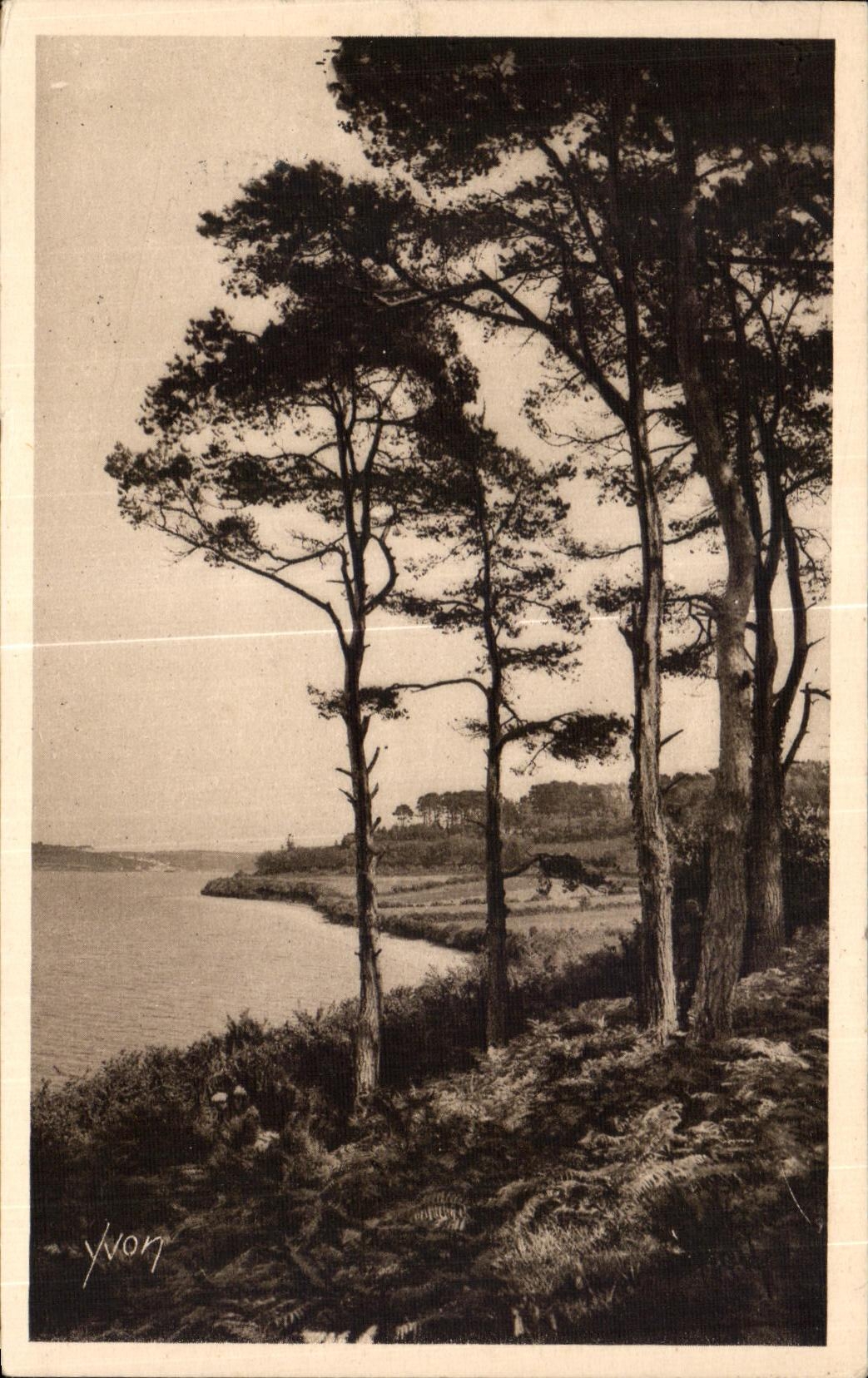 CPA Morlaix La Riviere Dossen
