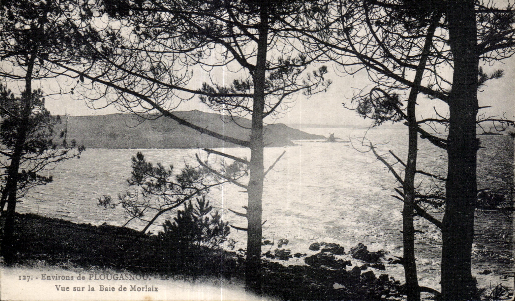 CPA Environs de Plougasnou Vue sur la Baie de Morlaix