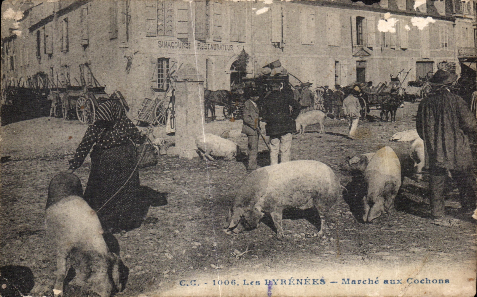 CPA the Pyrenees market with the Pigs Pigs