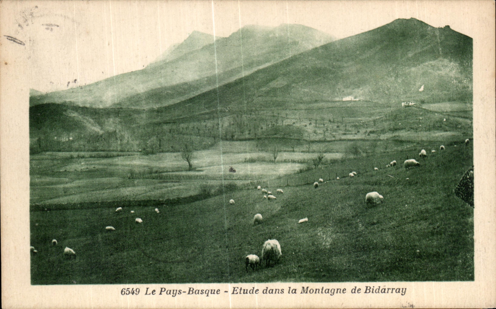 CPA the Basque Country Details in the Mountain of Bidarray