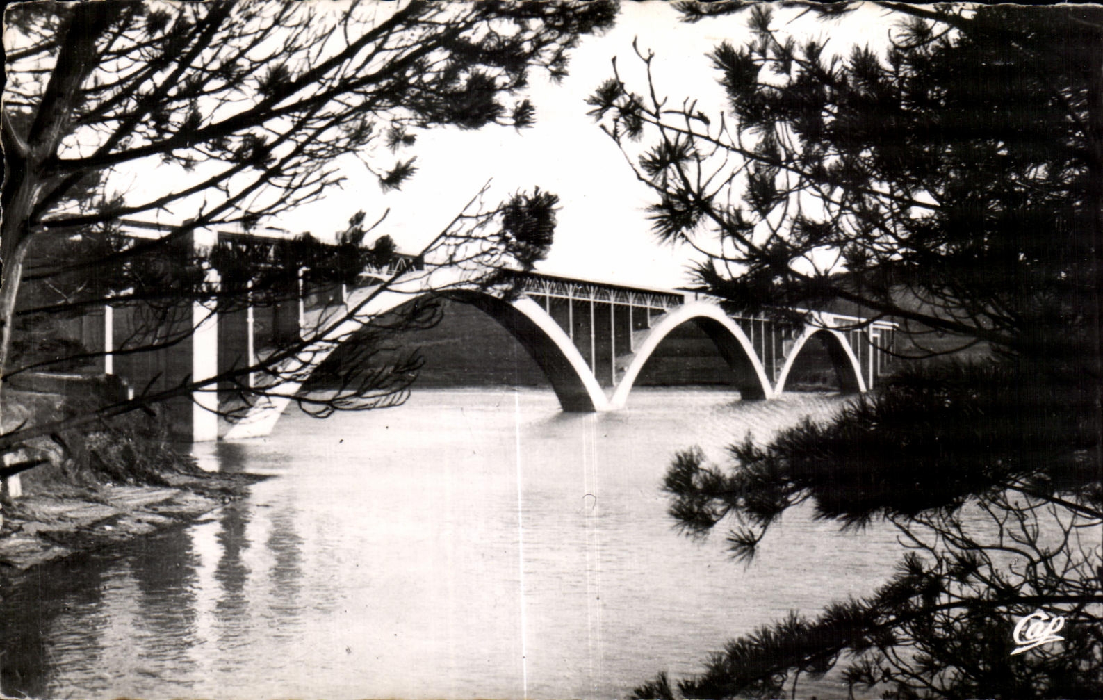 CPA Environs De Brest Pont de Plougastel Daoulas a travers les Pins
