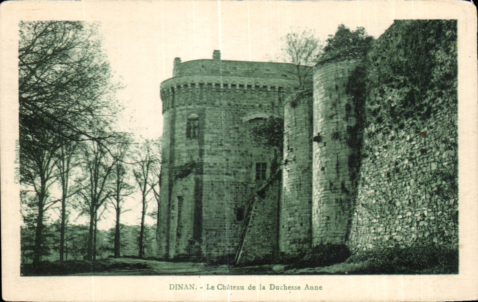 CPA Dinan Le Chasteau de la Duchesse Anne