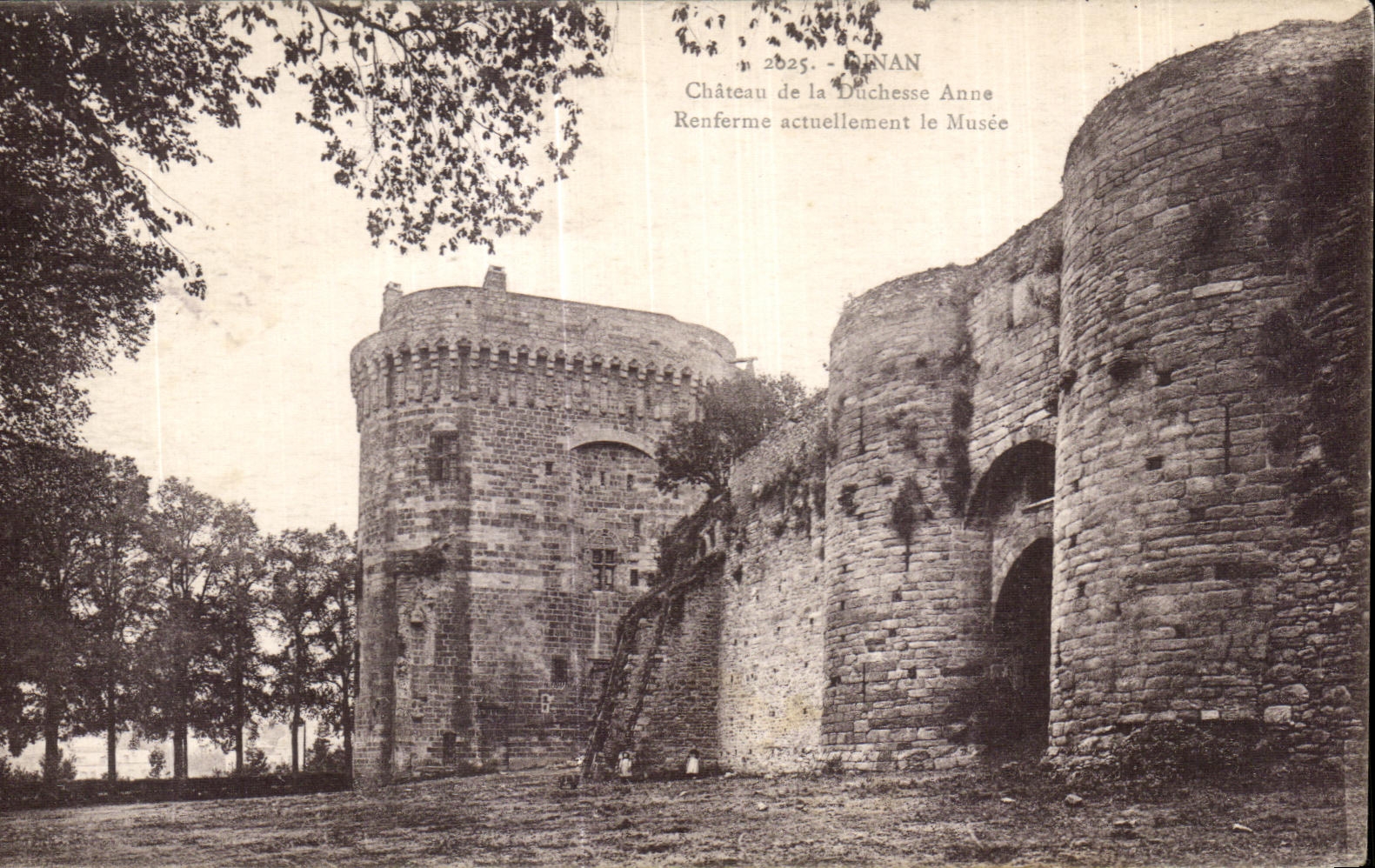 CPA Dinan Chateau de la Duchesse Anne Renferme actuellement le Musee