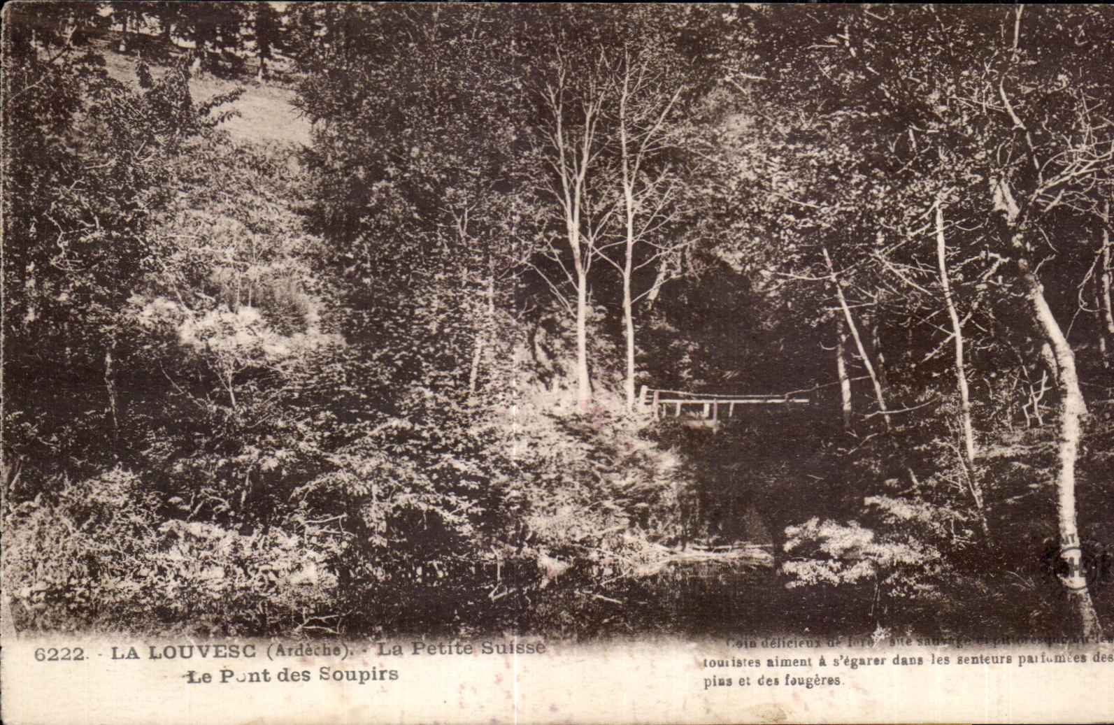 CPA La Louvesc Ardeche La Petite Suisse Le Pont des Soupirs