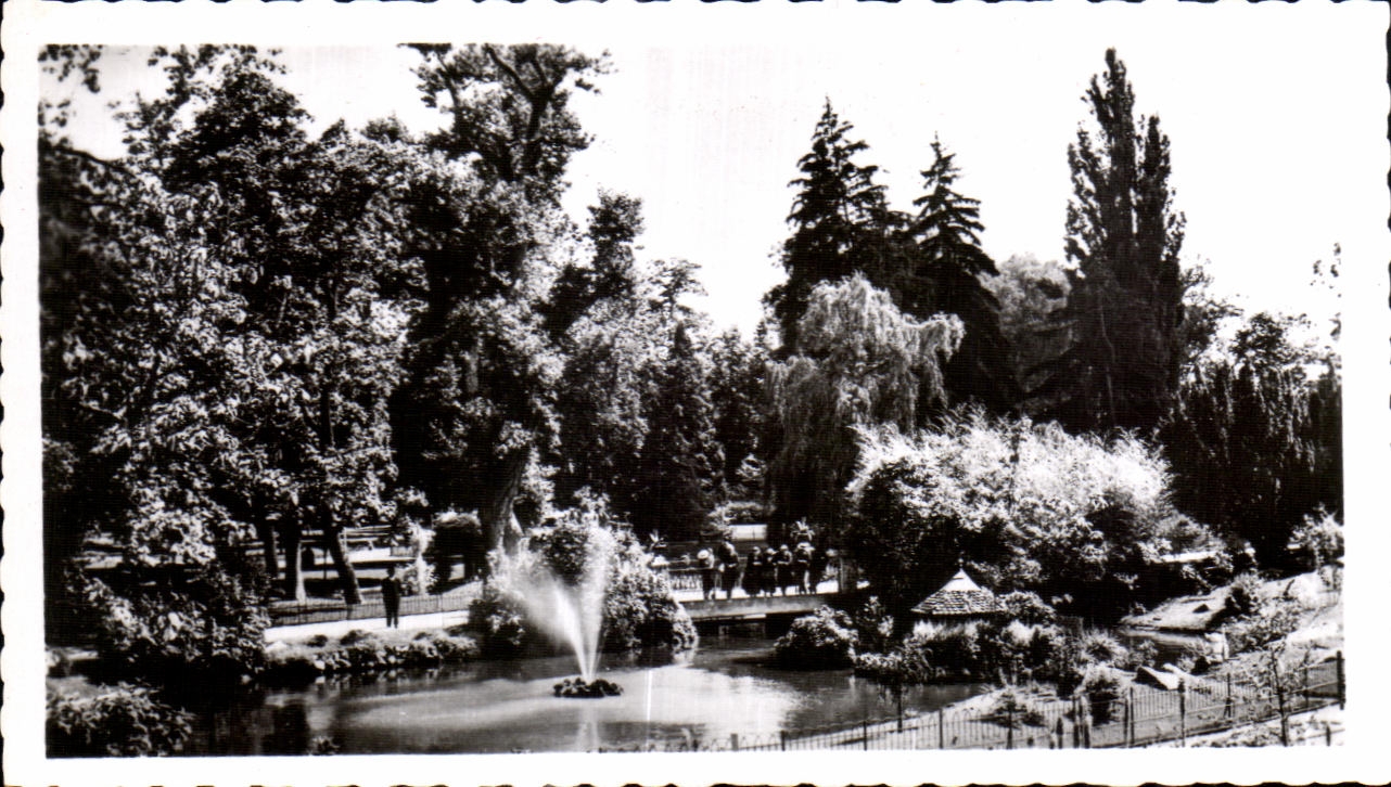 CPSM Vichy Dans les grands parcs Le bassin des cygnes