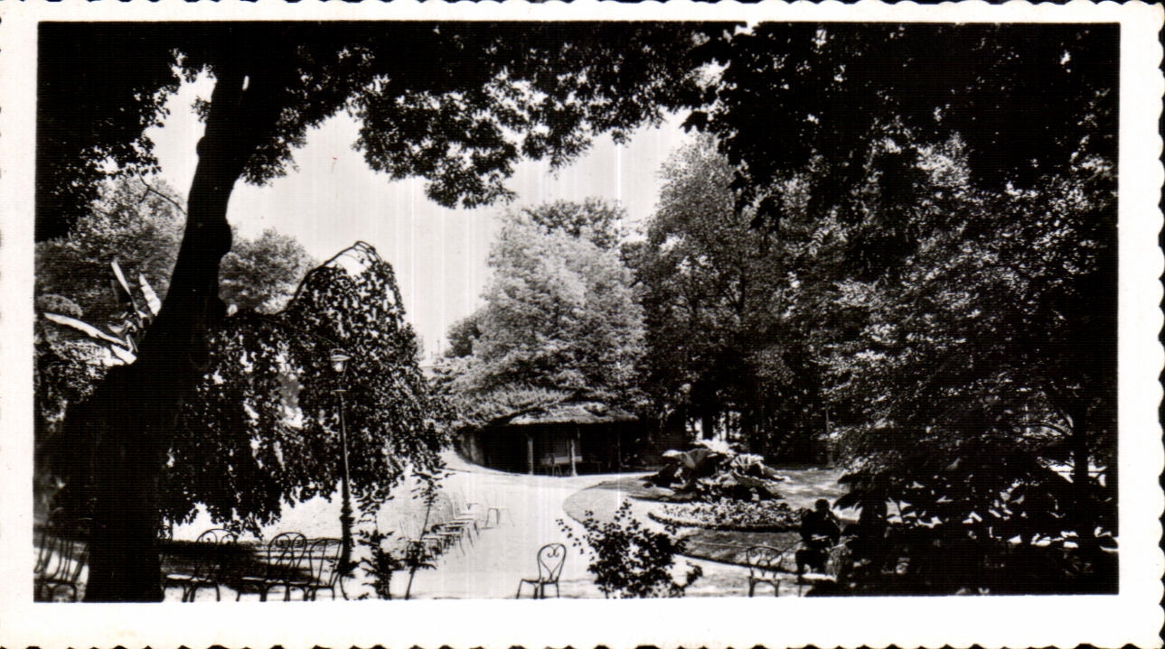 CPSM Vichy parc des Celestins 