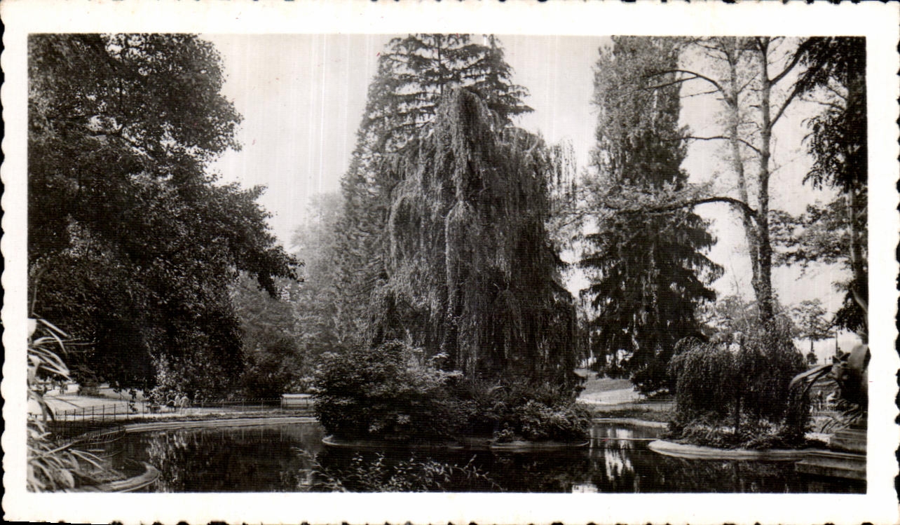 CPSM Vichy Bassin des Cygnes 