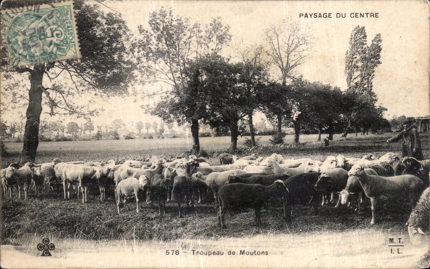 CPA Troupeau de Moutons Berge Elevage 