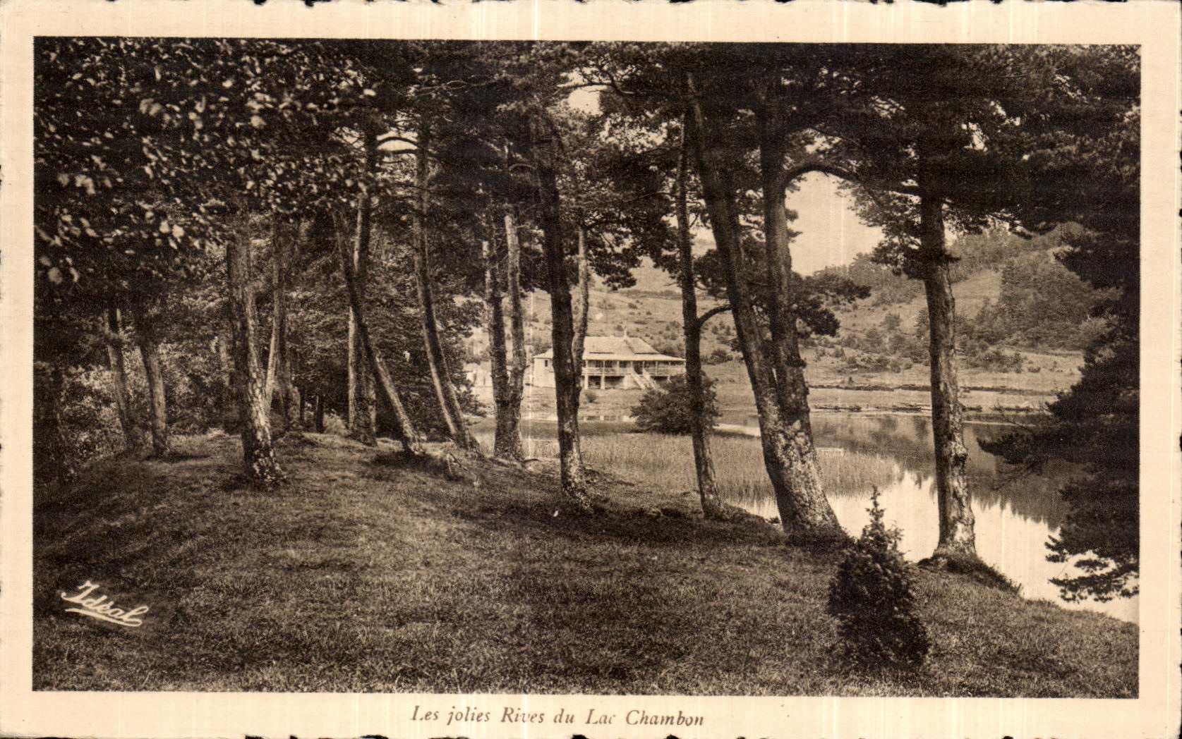 CPA Les jolies Rives du lac Chambon