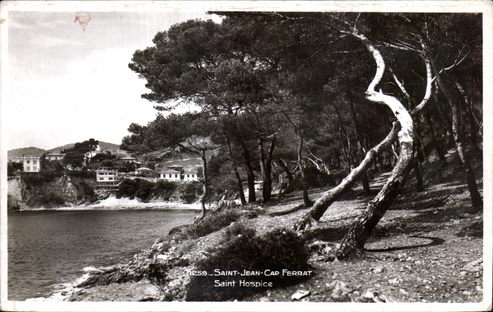 CPA Saint Jean Cap Ferrat Sainte Hospice