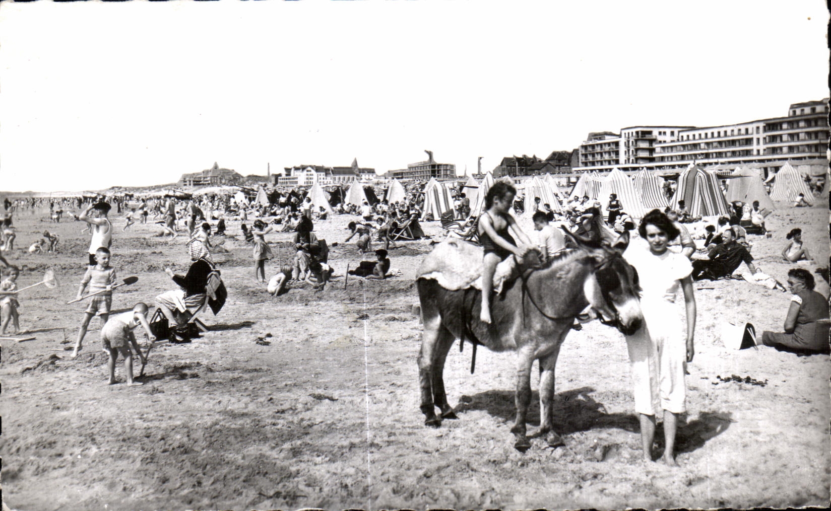 CPA Berck Plage La Plage Ane Donkey Enfant