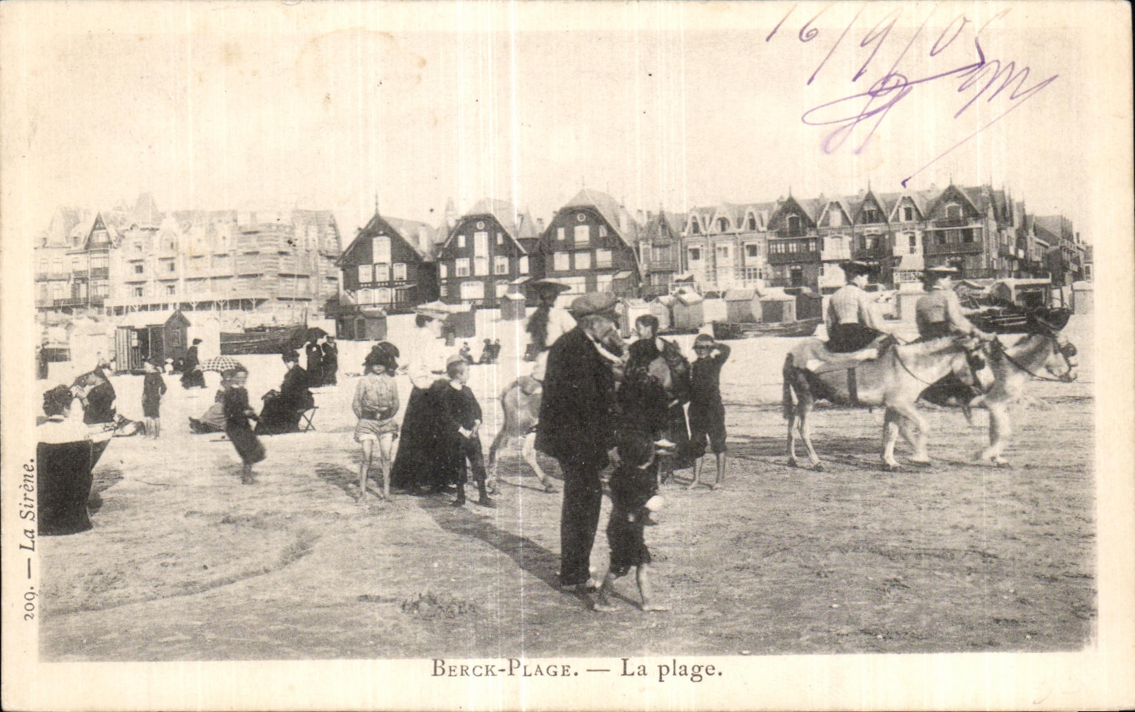 CPA Berck Plage La Plage Ane Donkey