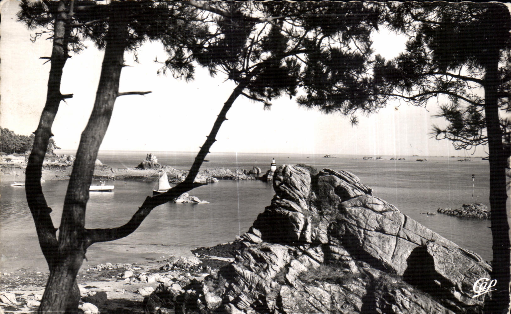 CPA Ile de Brehat La Cote Sauvage
