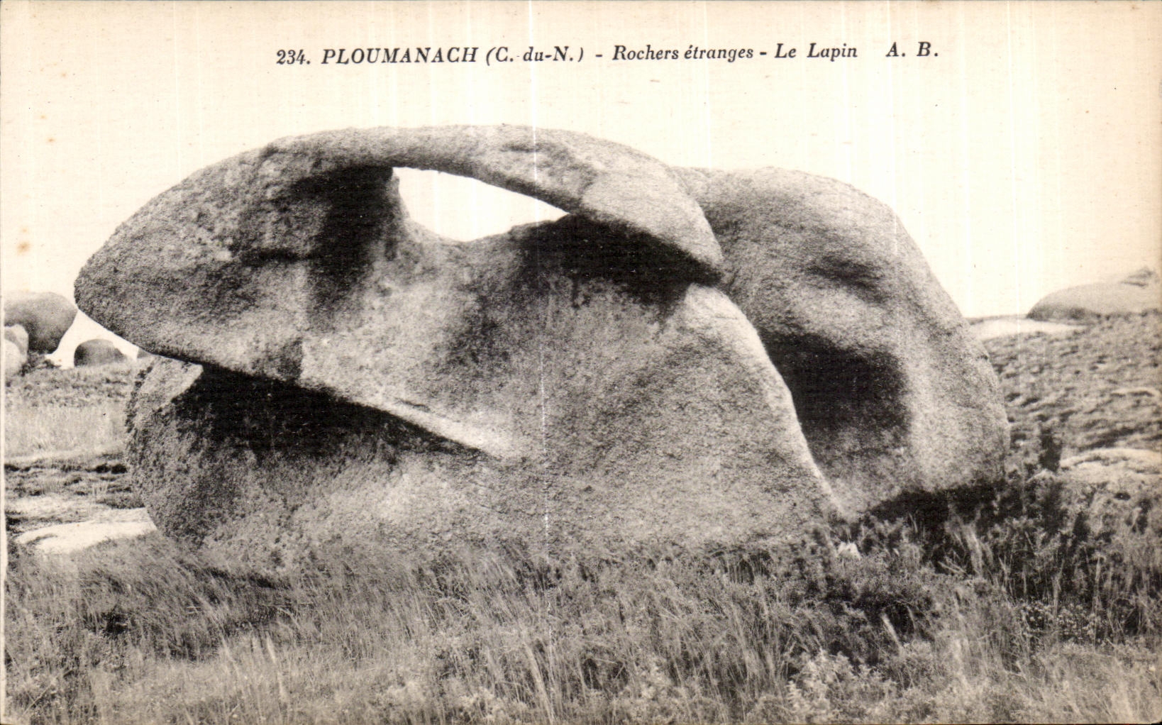 CPA Ploumanac h Rochers etranges Le Lapin
