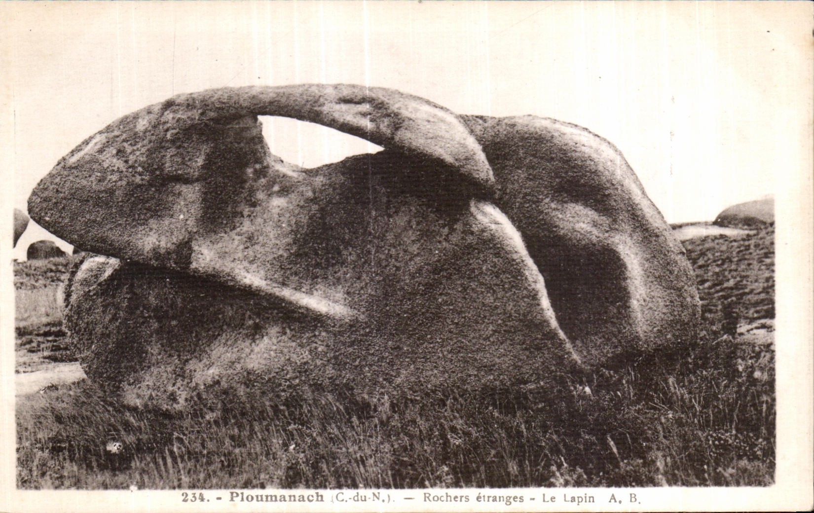 CPA Ploumanac h Rochers etranges Le Lapin