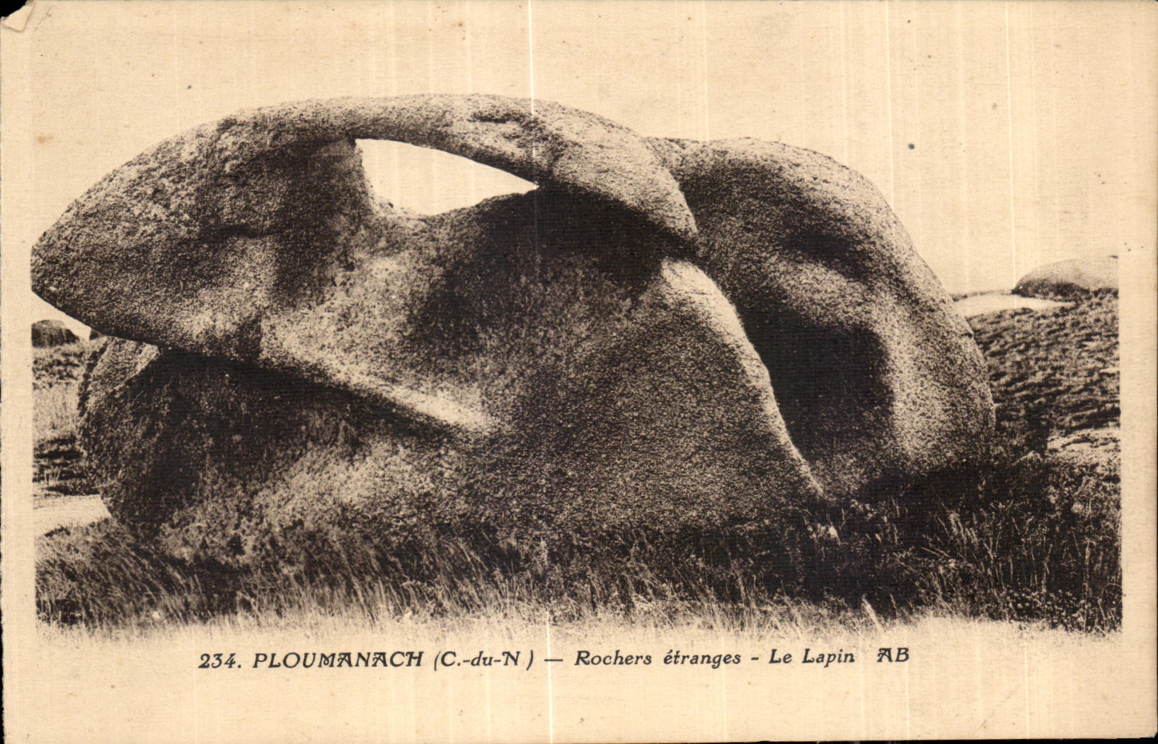 CPA Ploumanac h Rochers etranges Le Lapin