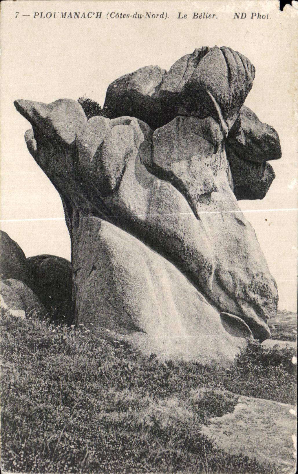 CPA Ploumanac h Cotes du Nord Le Belier 