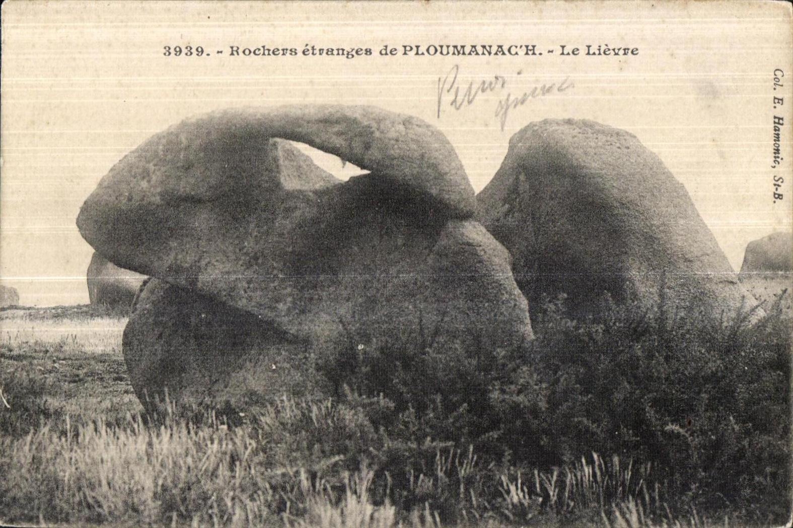 CPA Rochers etranges de Ploumanac h Le Lievre