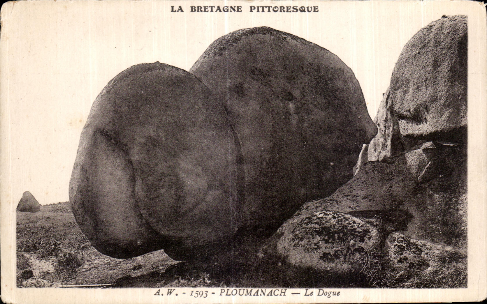 CPA Ploumanac h Le Dogue