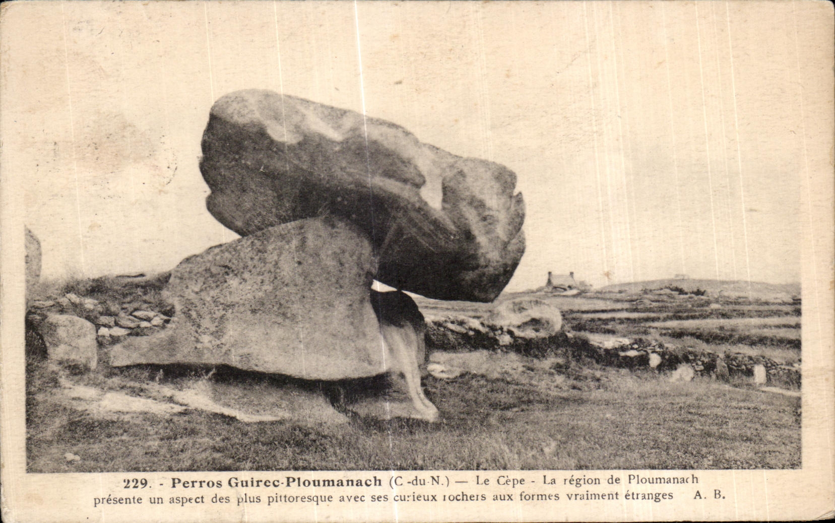 CPA Ploumanac h Le Cepe