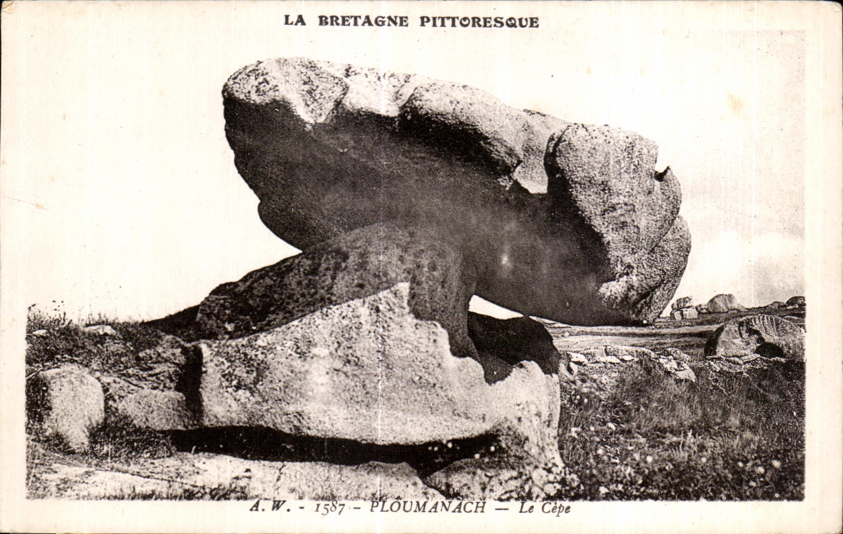 CPA Ploumanac h Le Cepe