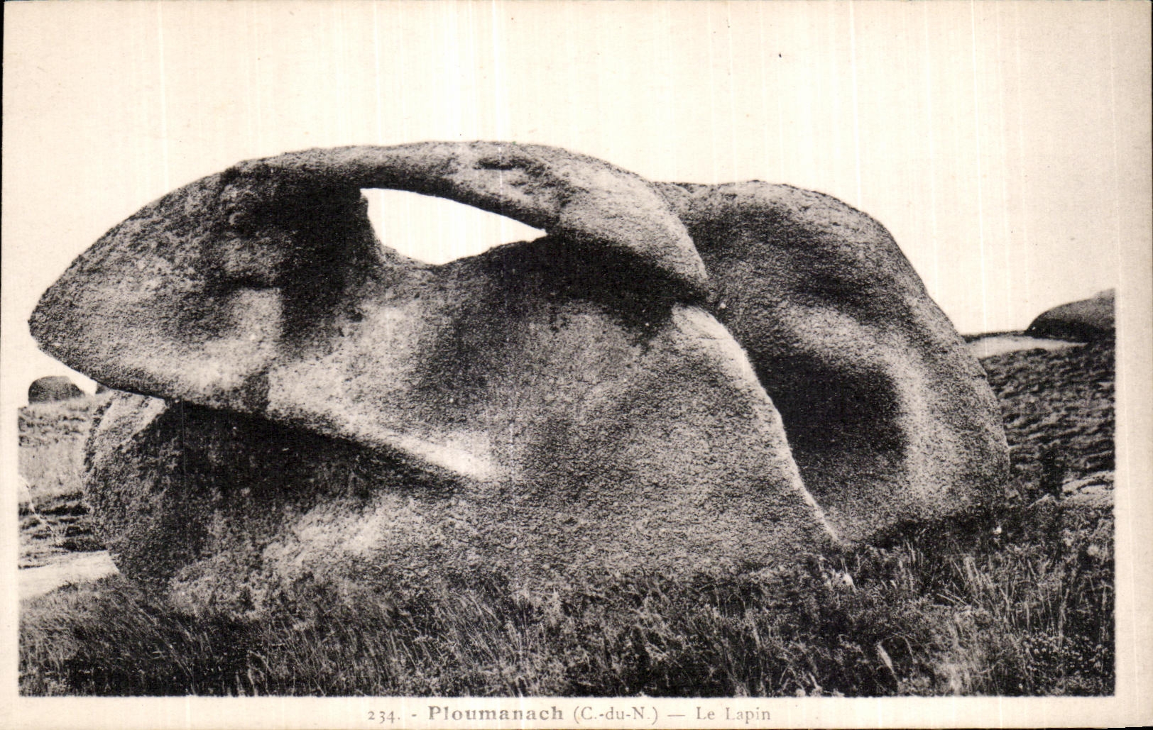 CPA Ploumanac h Le Lapin