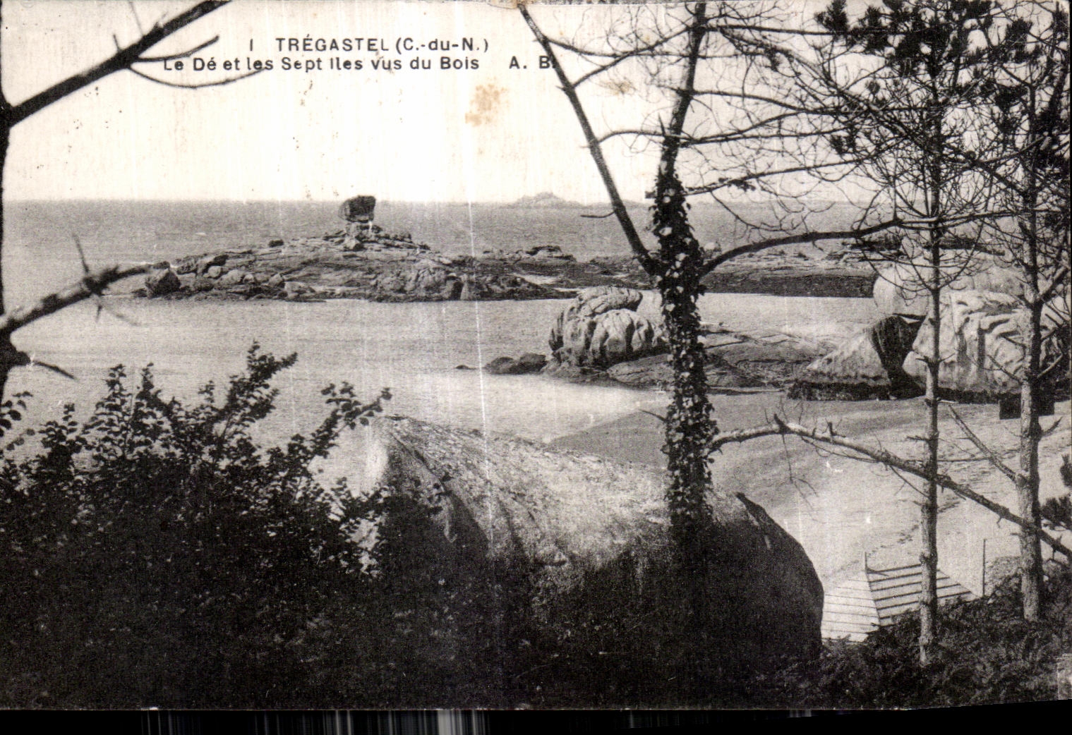 CPA Tregastel Le De et les Sept ILes Vus du Bois
