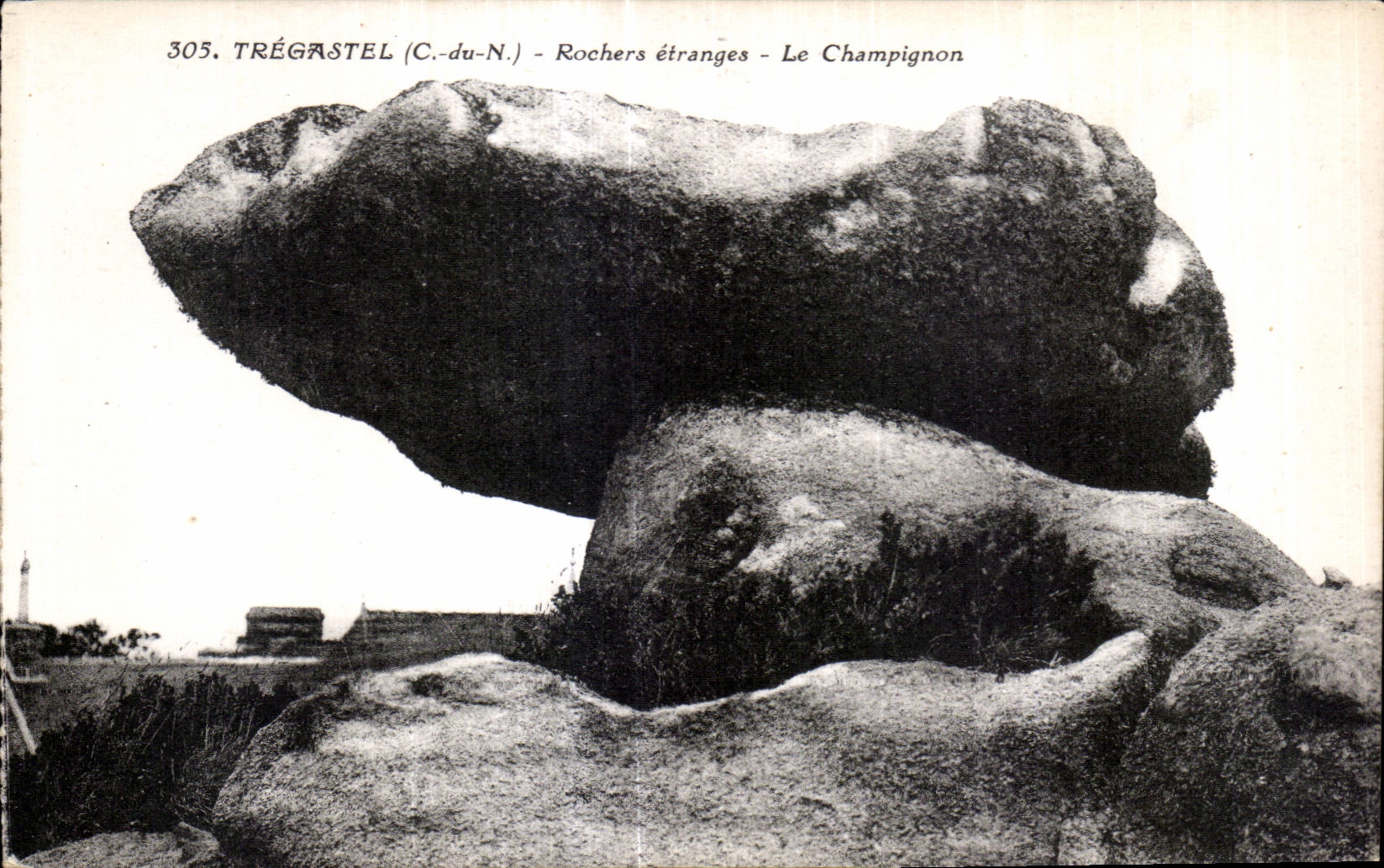 CPA Tregastel(C du N) Rochers etranges Le Champignon