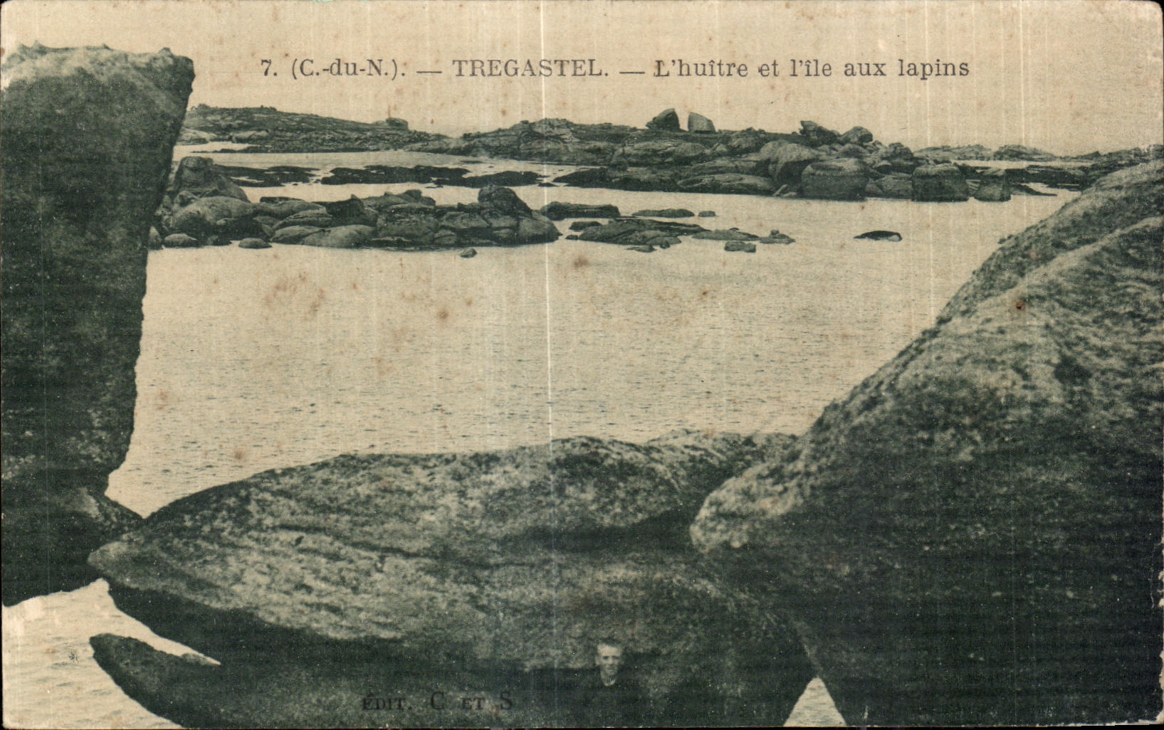 CPA Tregastel L huitre et l ile aux lapins