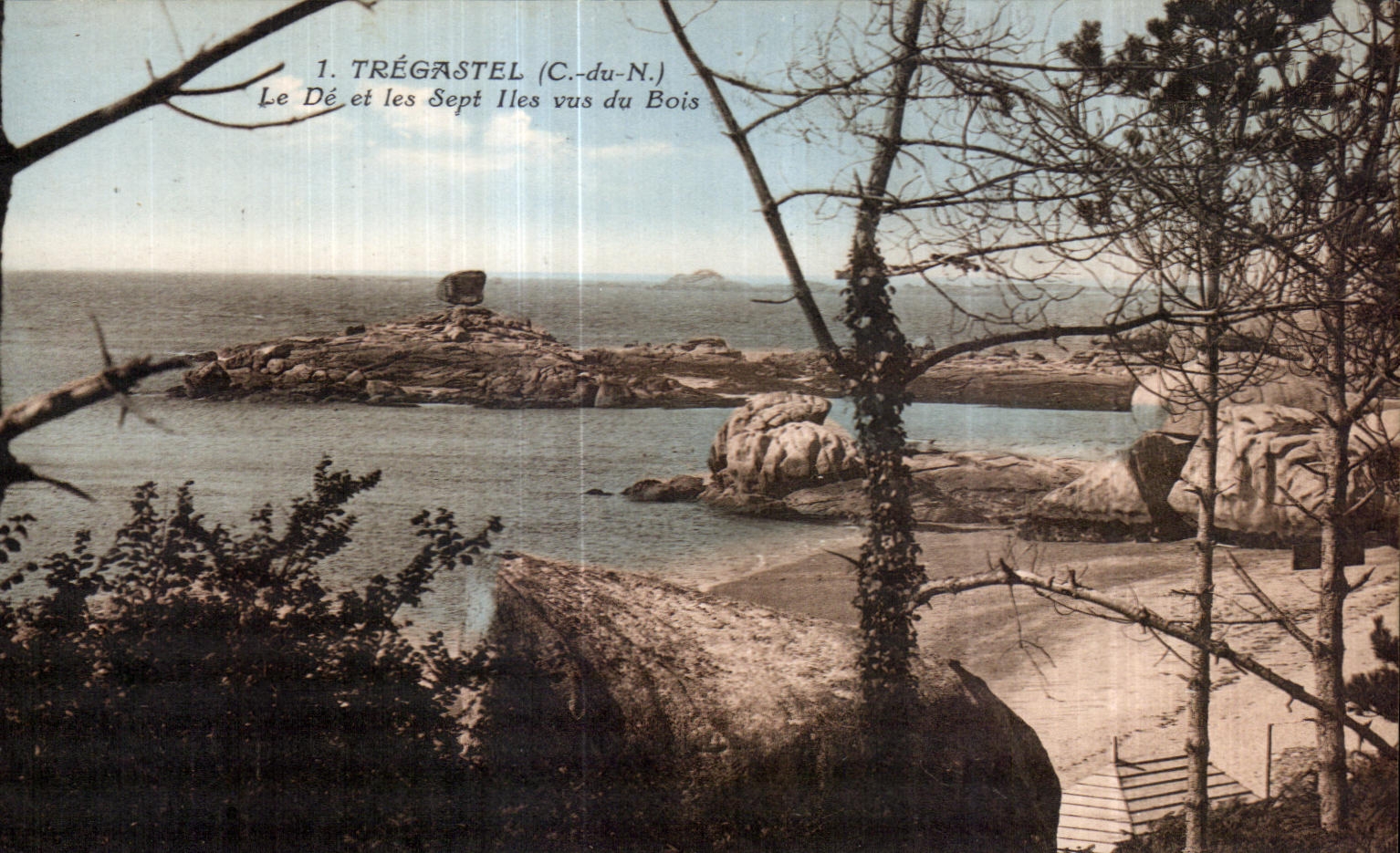 CPA Tregastel Le De et les Sept I les vus du Bois