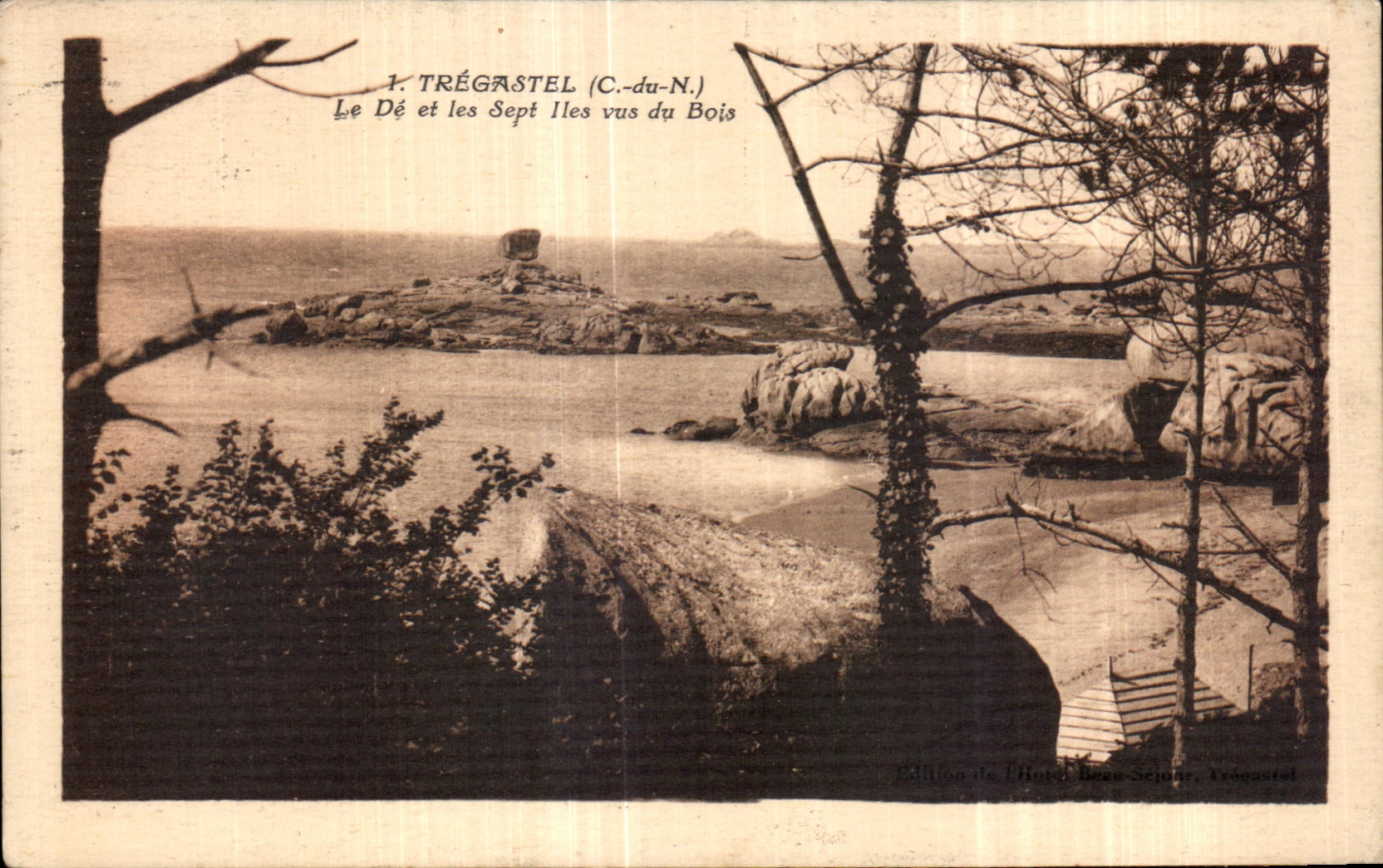 CPA Tregastel Le De et les sept lles vus du Bois