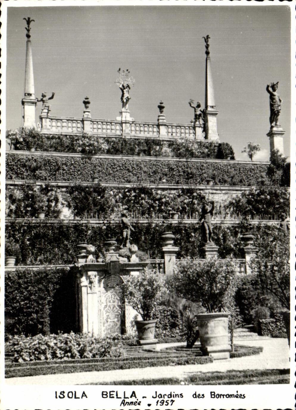 CPA Isola Bella Jardins des Borromees Annee 1957