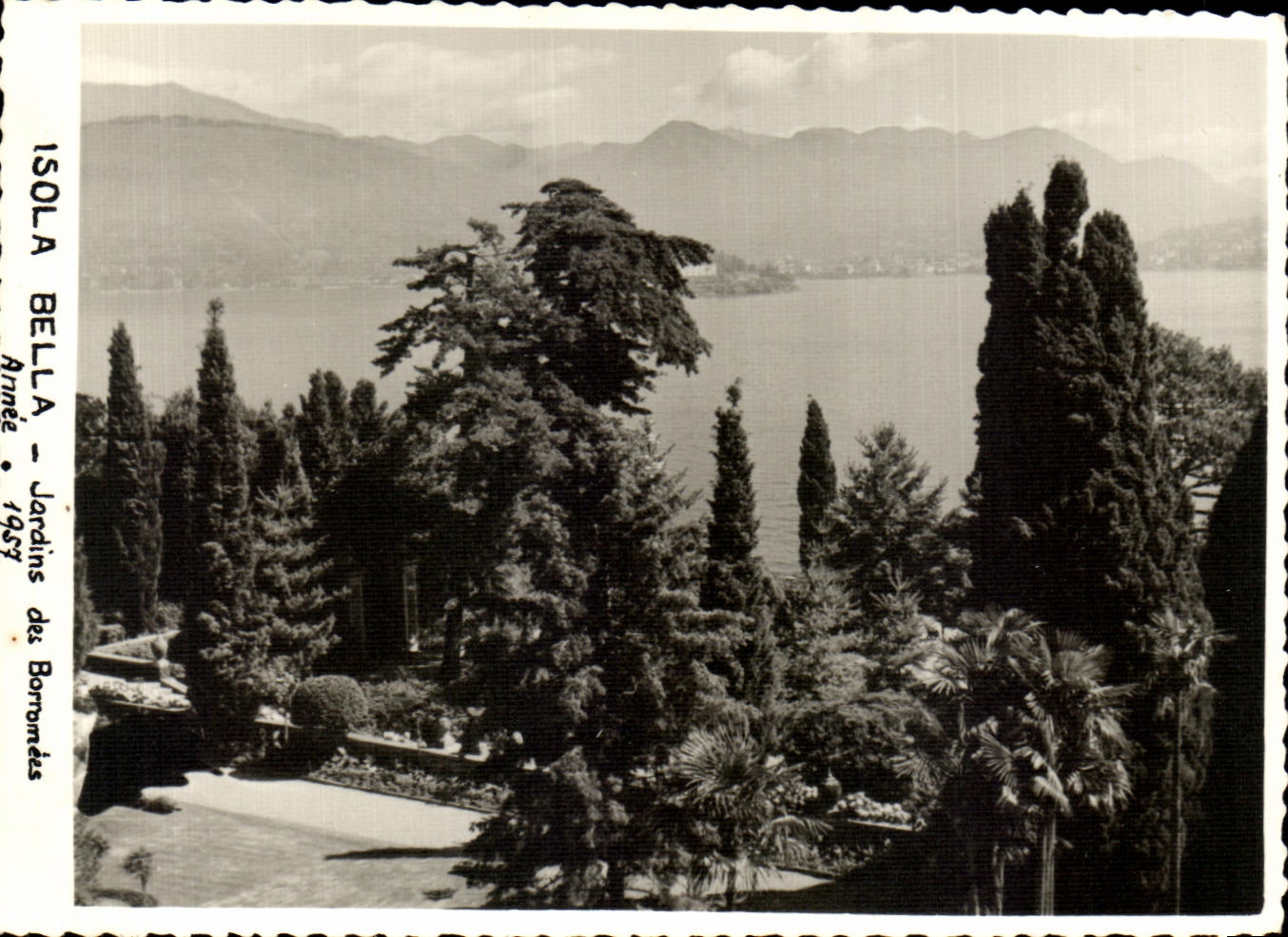CPA Isola Bella Jardins des Borromees Annee 1957