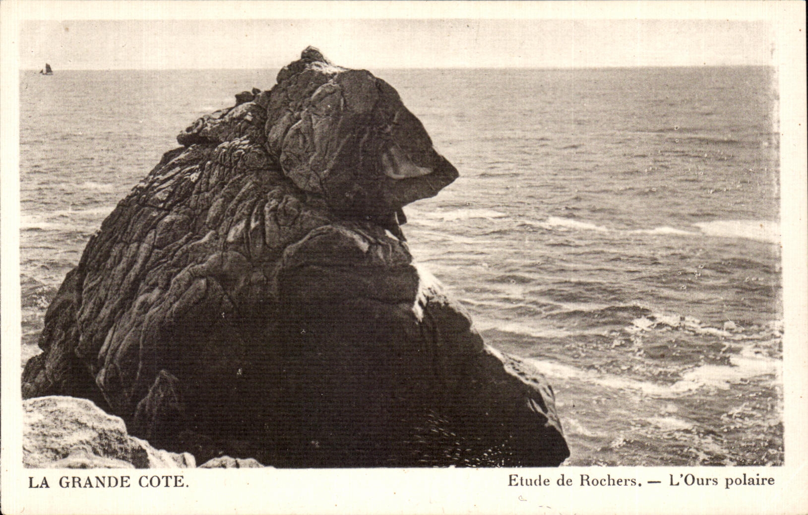 CPA los grandes detalles de la dimension del oso polar de las rocas