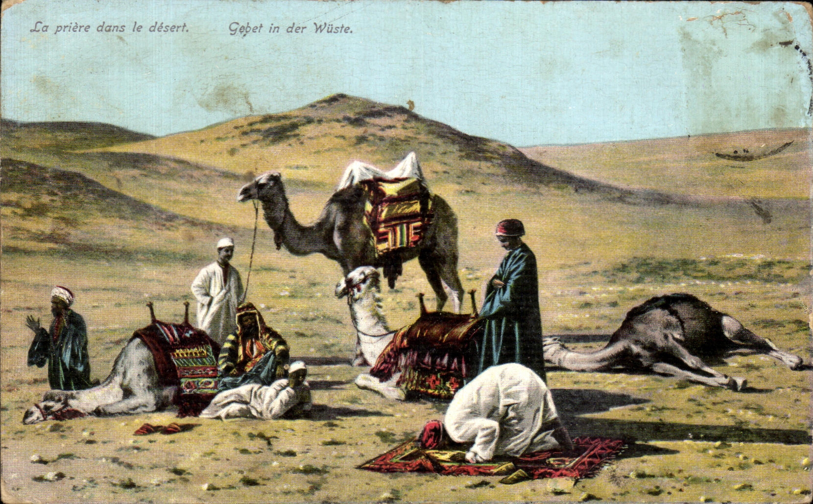 CPA the prayer in the Gebet desert in der Wuste Camel Camel Morocco