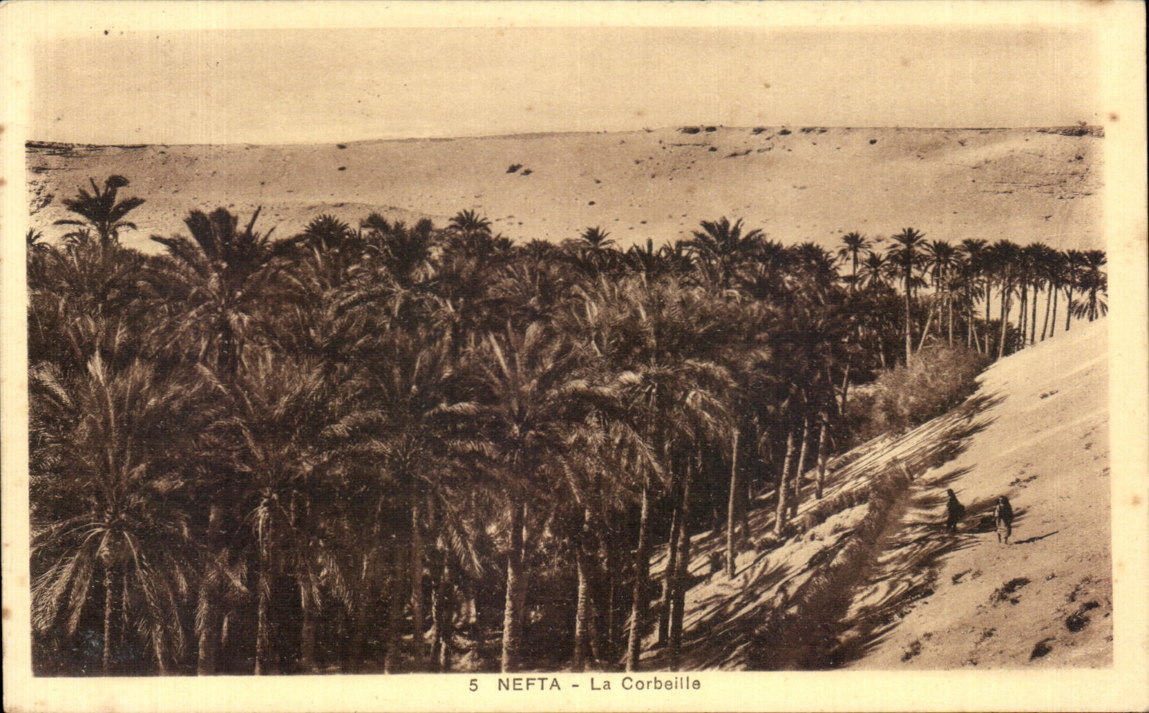 CPA Nefta La Corbeille