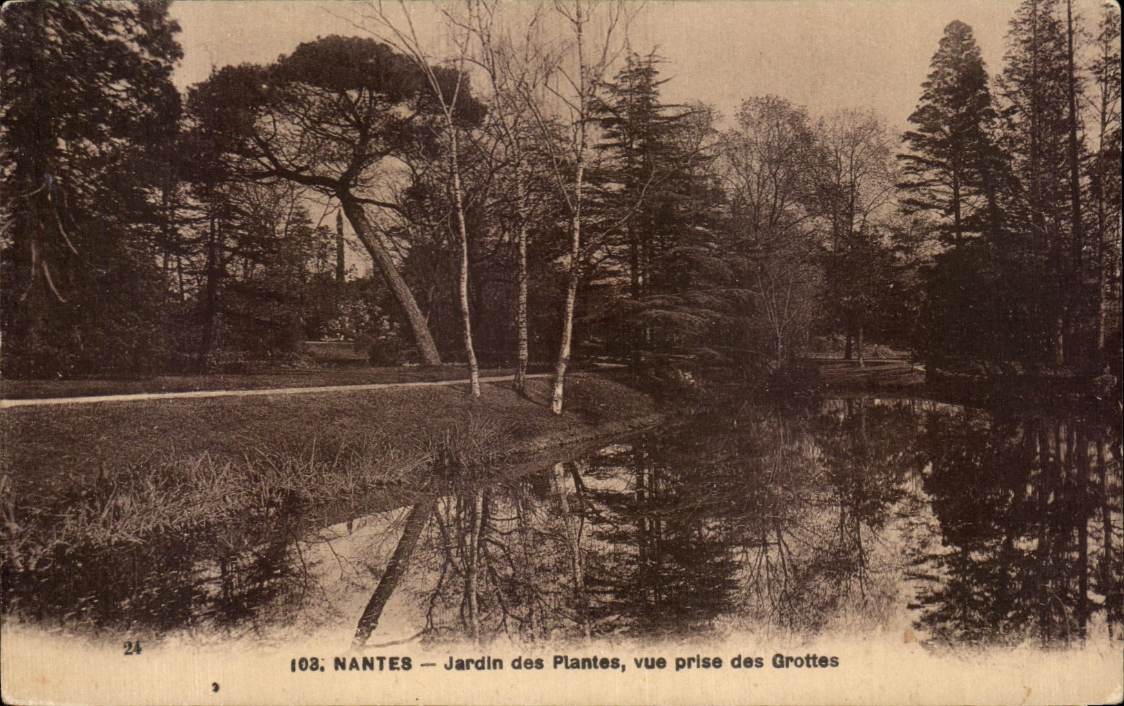 CPA Nantes Botanical garden Seen from of the Caves